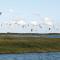 Holiday Home Holmsland Klitvej Ringkøbing