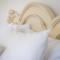 The Stella Historic Llandudno Bed & Breakfast