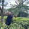 Tea Garden House