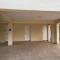 Nissi Beach beautiful apartment