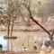 Bush Inn Lodge Lephalale