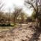 Bush Inn Lodge Lephalale
