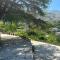 ADAs Guest House