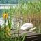 Holiday Home Mragowo Sniadowo