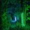 Woodland View -Hot Tub-Tenby-Carmarthen-St Clears