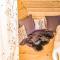 Amazing Home In Ustka With Kitchen