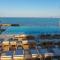 STEAUA DE MARE - Olimp Resort