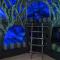 Stylish 6 Bdrm Villa with Unreal Themed Bedroom at Reunion - 基西米