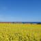Awesome Apartment In Allinge With Wifi - Allinge