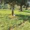 Nice Home In Son Carrió With Wifi