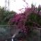 Castel Ashkelon