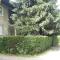 Apartman Nena