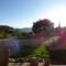 Appartement Appietto