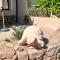 BeFree Apartments La Ciaccia