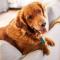 Central Ellesmere -Sleeps2 - Parking - PetFriendly - 埃尔斯米尔