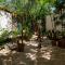 Penthouse with private jungle, pool, downtown - Tulum
