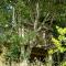 The Treehouse at Salcombe Farm - Salcombe