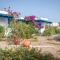 Firoa Studios - دونوسا