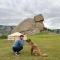 Camel Track Guesthouse and Tour Operator LLC
