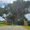 Chateau de Pys Guest House - Latrape