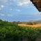 Gozzadini Vineyard! - Avlonárion