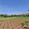 Gozzadini Vineyard! - Avlonárion