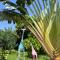 Villa Aloha