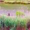 Water front East Hampton Getaway - 东汉普顿
