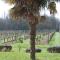 Chambres d'hôtes de charme dans un vignoble - Saint-Trojan