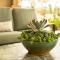 Allegretto Vineyard Resort Paso Robles