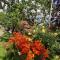 Guest House IRAKLI
