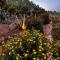 Physis Villas Chania