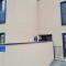 APP MARE Umag