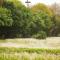 Ecopark Happy Haven
