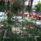Hotel Princi i Vogel