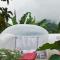 Safari Bubbles - Wundanyi