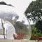 Safari Bubbles - Wundanyi