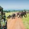 Safari Bubbles - Wundanyi
