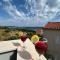 Apartments Vini