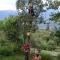 Malis Apple Lodge homestay