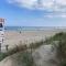 Reet am Strand mit Hund