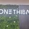 1501 Golden Thibault