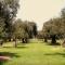 B&B El Olivar