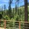 The Tree Haus A Montana Tiny Cabin Forest Retreat - Lakeside