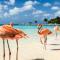 Sand Dollar Apartment B11 Serenity By The Sea