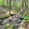 12 Mi to Lake Whitingham Vermont Summer House