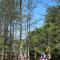 Best Location! Good Pines Roll: 2BR+Loft/Sleeps 10 - Broken Bow
