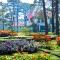 Dalat Cadasa Resort - Da Lat