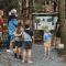 Tasman Holiday Parks - Coromandel