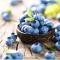 Blue Berries Hotel